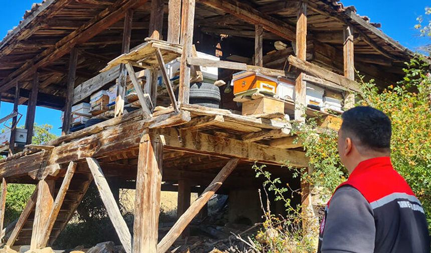 Kargı’da Arılı Kovan Tespit Çalışmaları Devam Ediyor