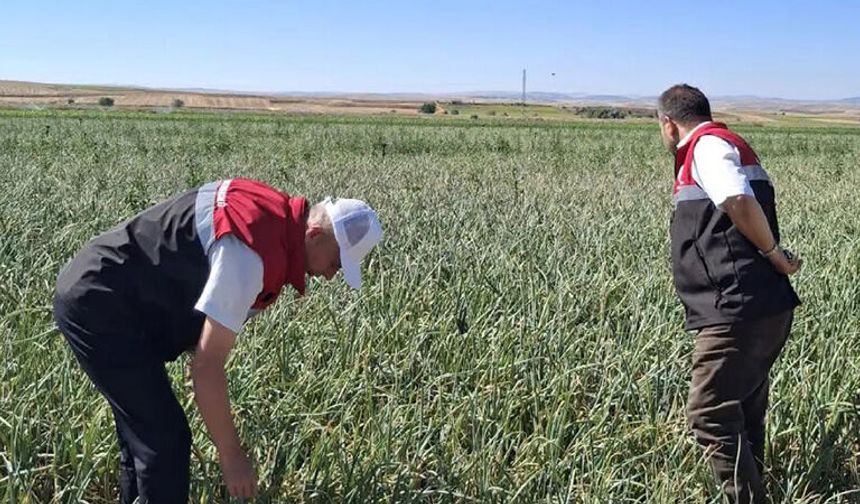 Soğan Hastalık Ve Zararlıları Konusunda Üretici Bilgilendirildi