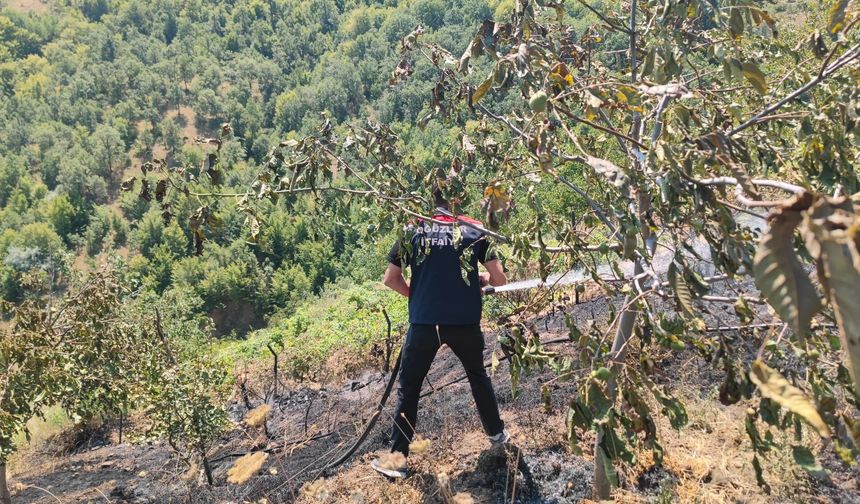 Çorum'da Ceviz Bahçesinde Çıkan Yangın Büyümeden Söndürüldü