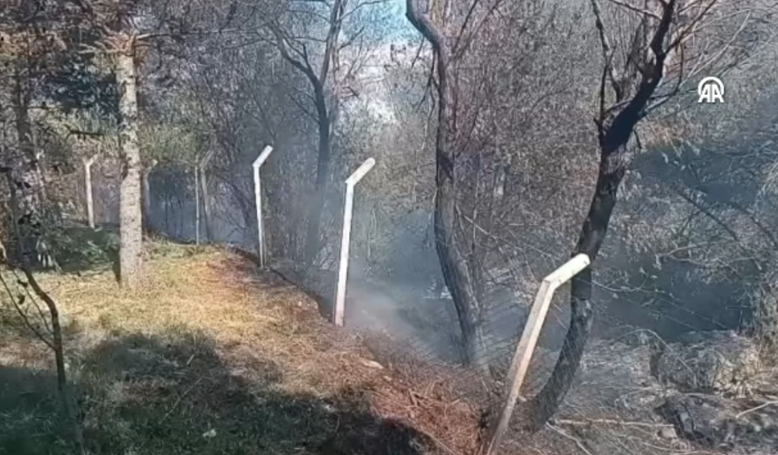 100 Güvercin Özgürlüğe Uçamadı! Yürek Yakan Yangın