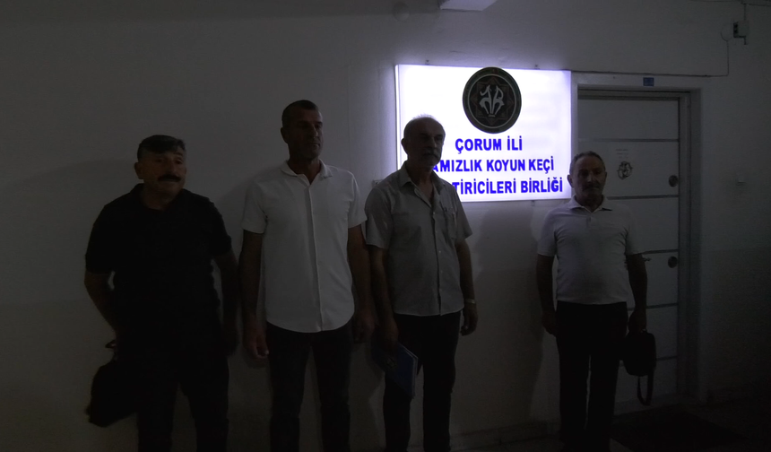 Birlikte Görevden Alma Krizi! Şanal: “Yüce Türk Adaletine Güveniyorum”