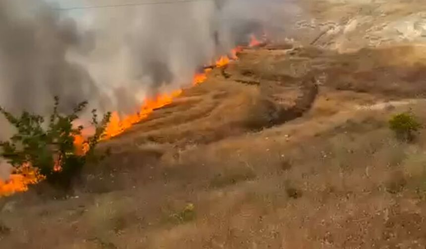 Bayat’ta Arazide Çıkan Yangın Paniğe Neden Oldu