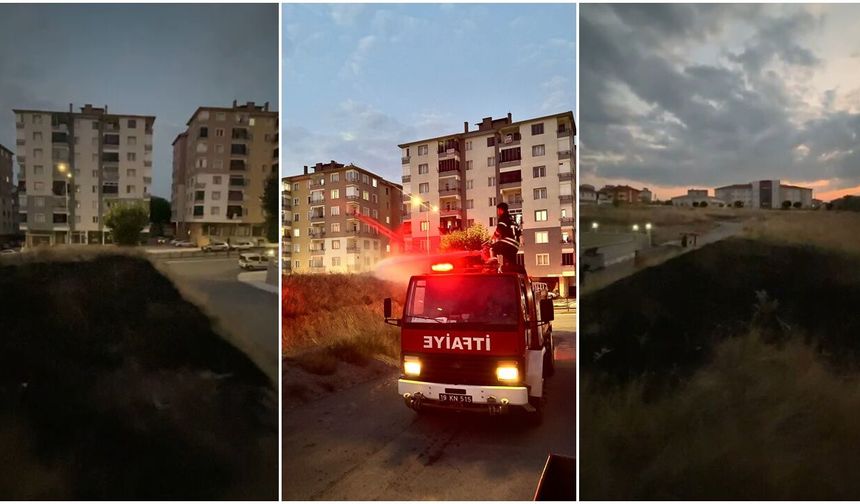 Düğün Eğlencesi Korkuttu! Havaya Atılan Havai Fişek Yangın Çıkardı