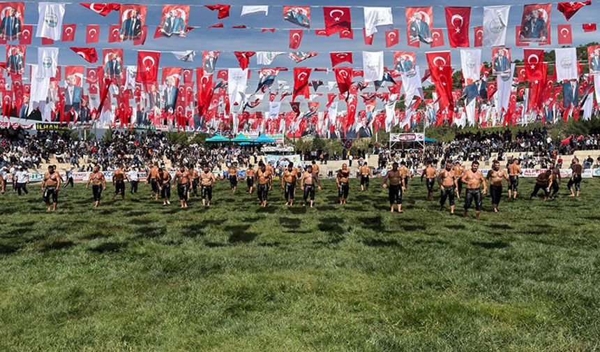 Osmancık'ta er meydanı kuruldu heyecan devam ediyor