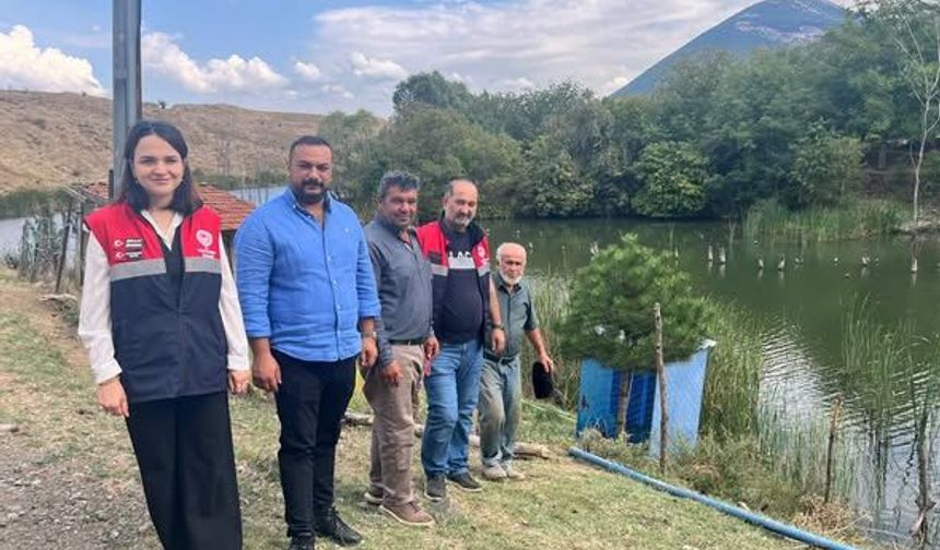 Dodurga Kuyucak Köyü Göleti’ne Yavru Balık Salındı