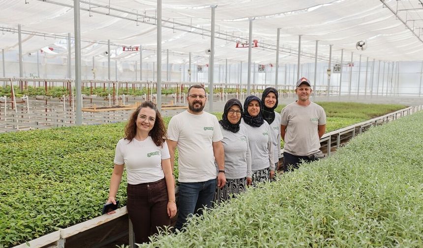 Çorum'da 120 Dekar Arazi Tarımsal Üretim Tesisine Dönüştü