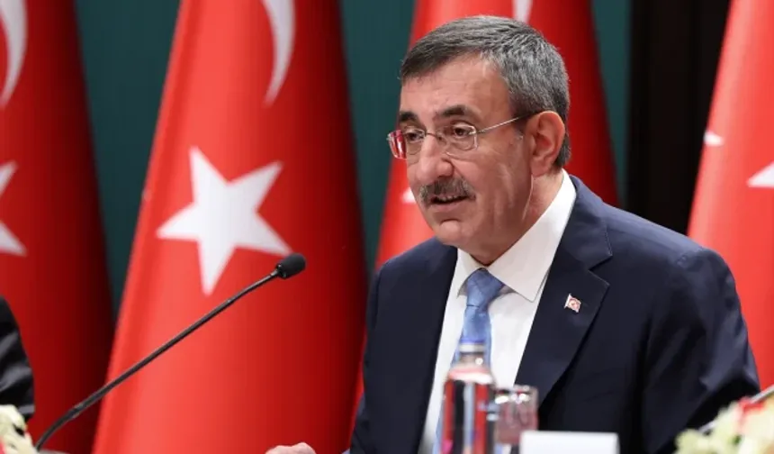 Cumhurbaşkanı Yardımcısına Seçim Tarihi Soruldu!