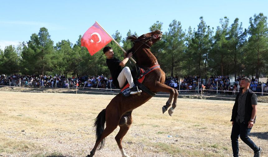 Çorum’da Rahvan At Yarışlarına Yoğun İlgi