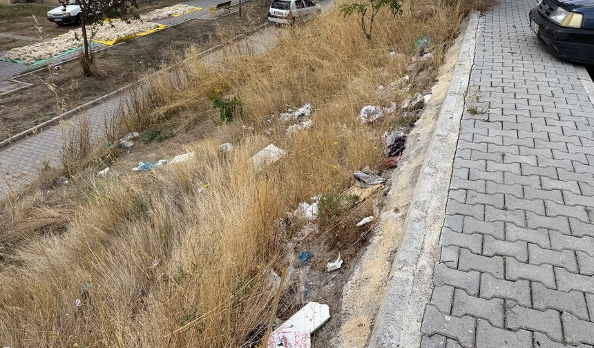 Bu Rezilliğin Sorumlusu Kim?