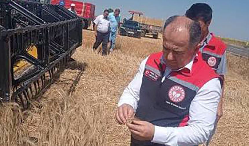 Tarım ve Orman İl Müdürlüğü’nün calışması uluslarara akademik alana taşındı