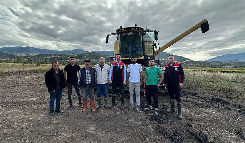 Laçin’de Çeltik Hasadı Başladı