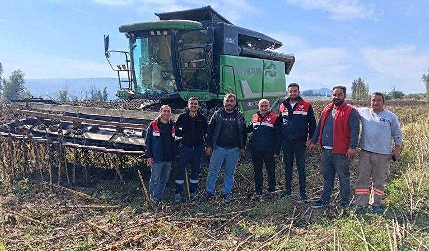 Mecitözü Geykoca Köyü’nde ceviz ve ayçiçeği hasadı