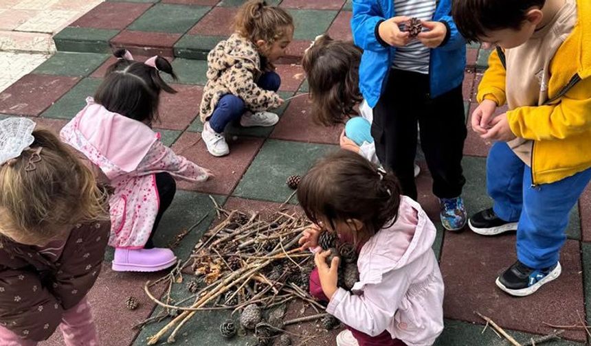 Kargı 125. Yıl anaokulunda böcek oteli etkinliği