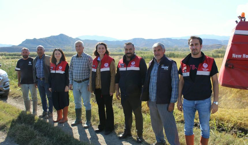 Dodurga Kaymakamı Tokur, çeltik üreticilerini ziyaret etti