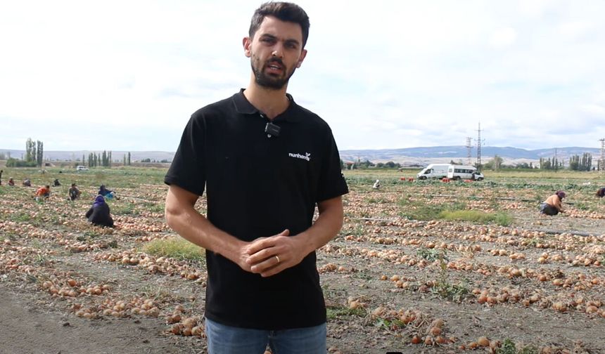 Ömerbey Köyü’nde Soğan Hasadı