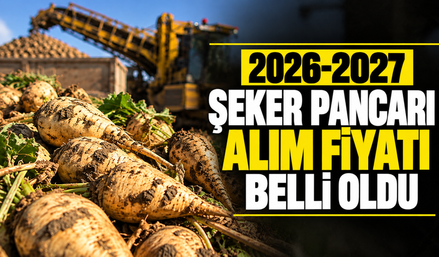 2026-2027 Şeker Pancarı alım fiyatı belli oldu