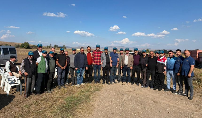 Alaca’da ayçiçeği tarla günü