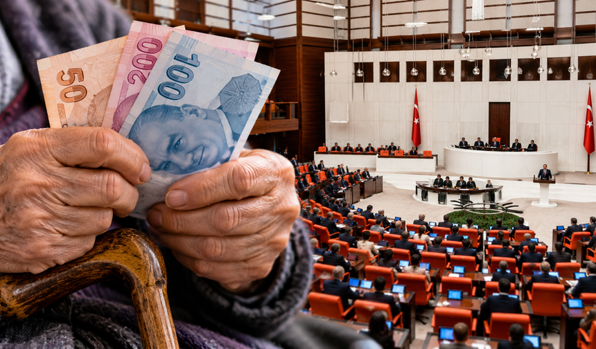 Emeklilerden hükümete çağrı: “İntibak yasası çıkarılsın, kök aylıklar düzeltisin”