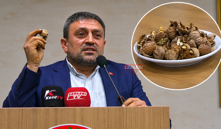 Oğuzlar cevizi için dikkat çeken çağrı: “Herkes akın etsin”