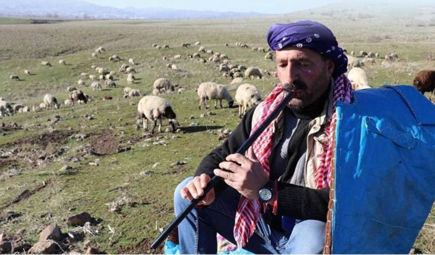 Sürü yönetimi kursu açılacak