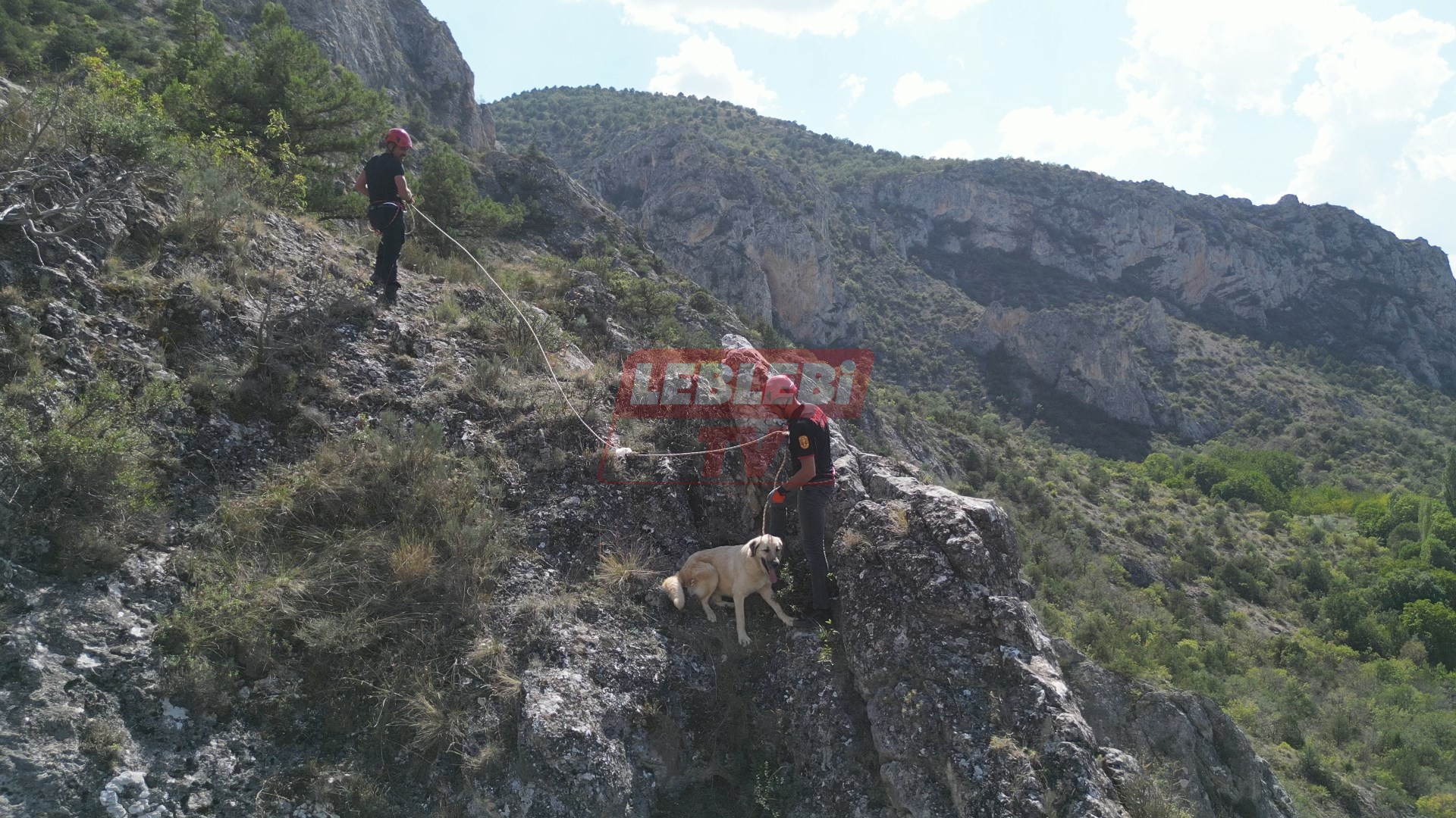 Kayalıkta Mahsur Kalan Köpeği İtfaiye Ekibi Kurtardı (8)