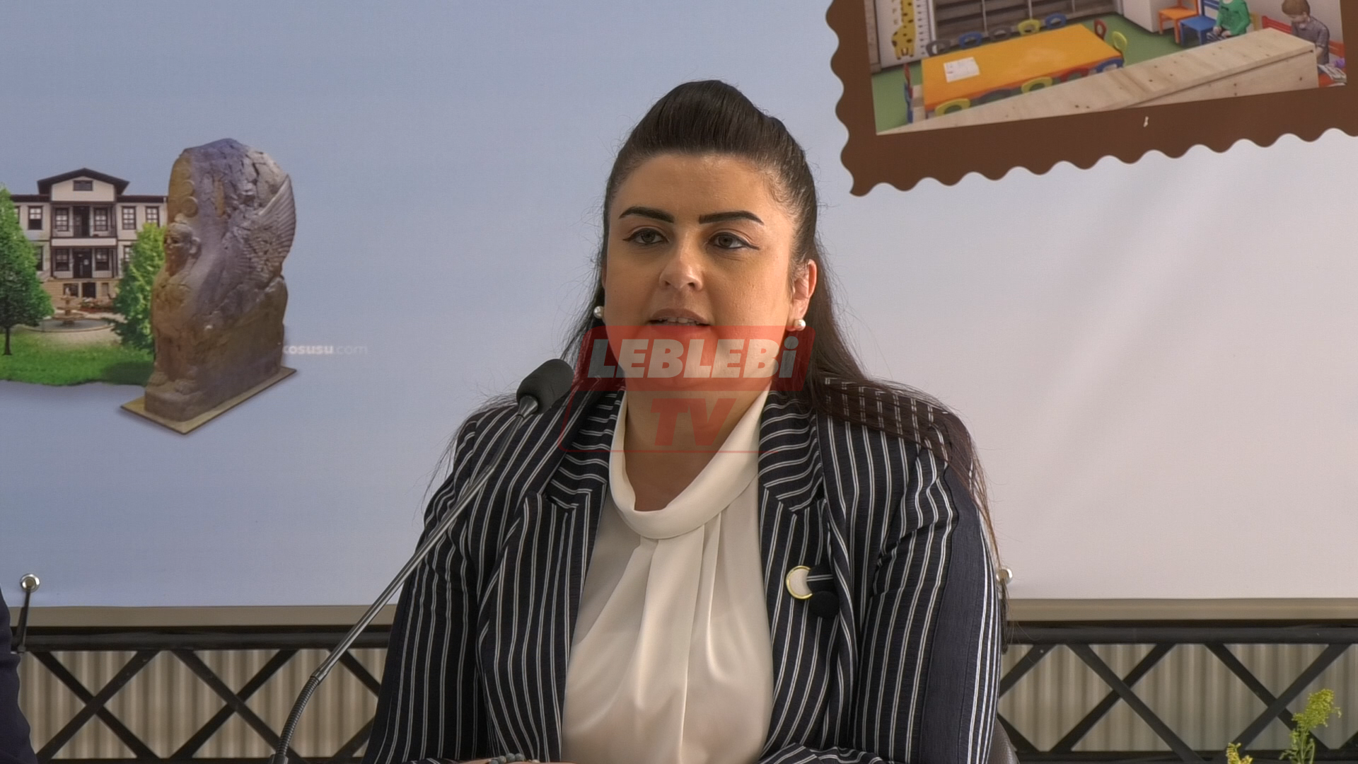 Ekran Görüntüsü 2025 06 16 152224