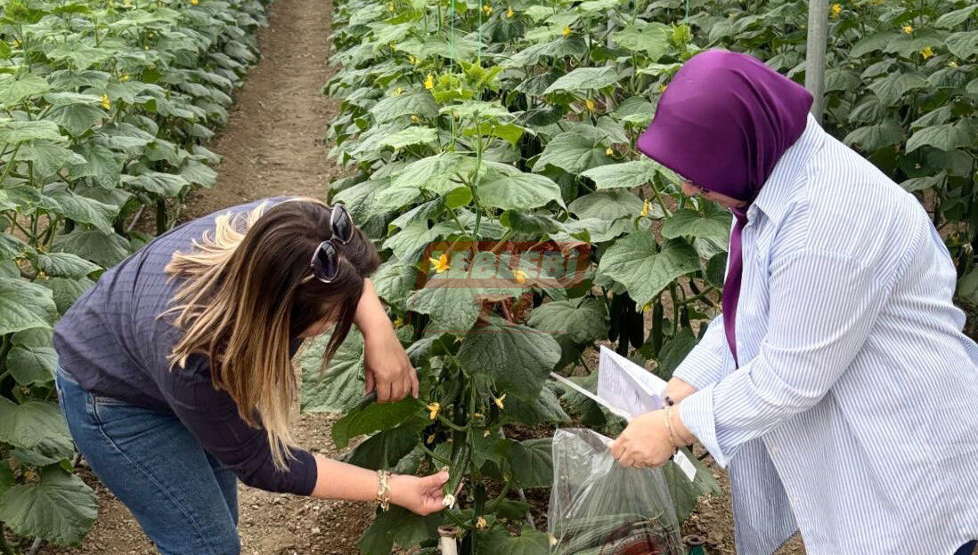 504379740 122197371284108366 3767218934631768072 N