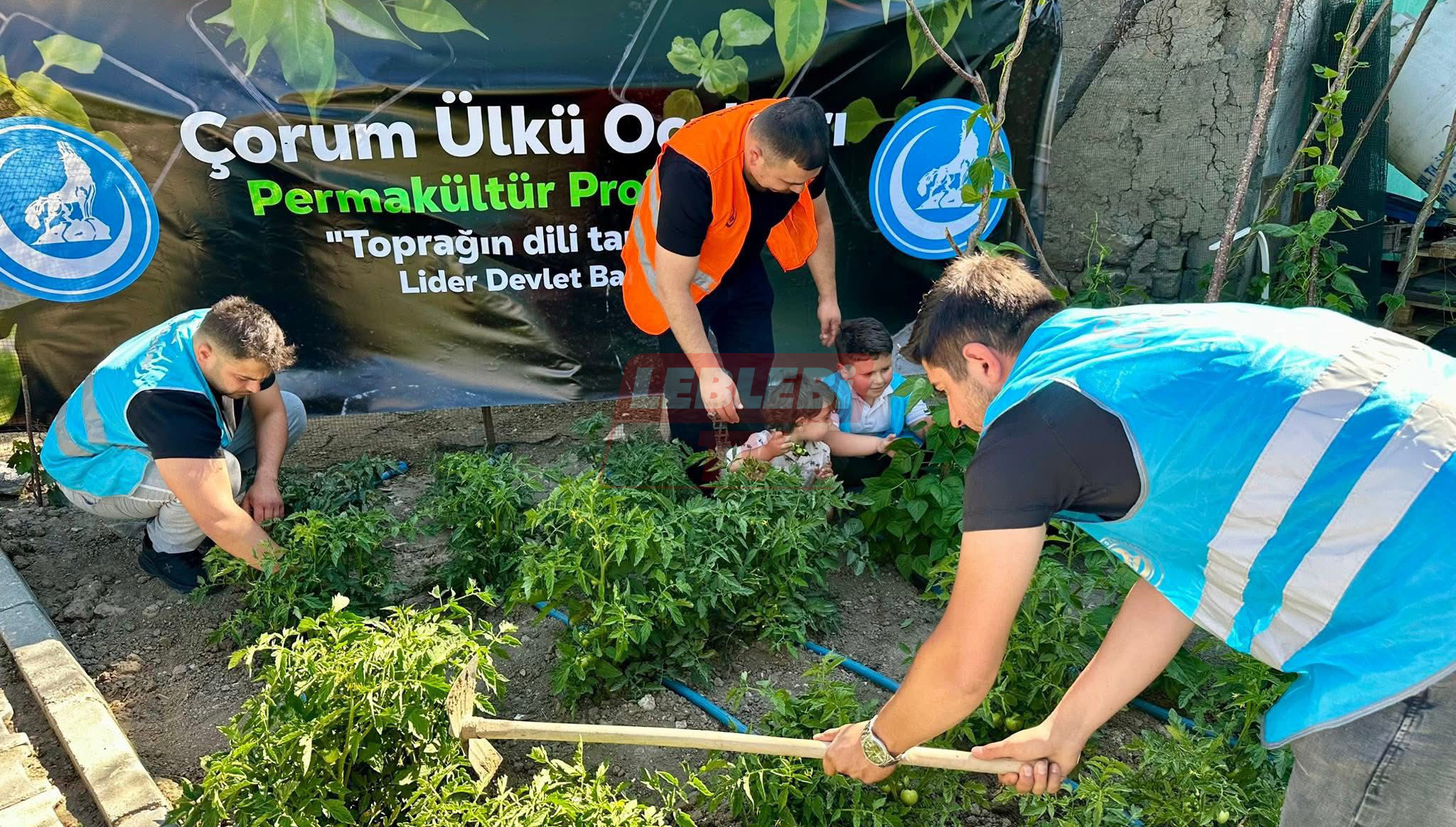 516032743 1242299914598361 8249372969774028024 N