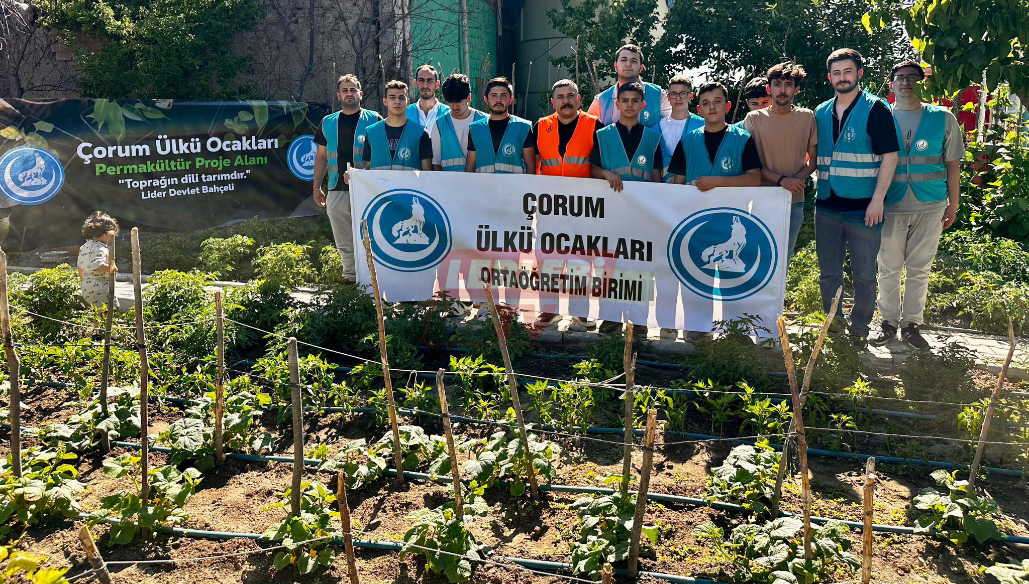 516336040 1242299737931712 5443159793416477269 N