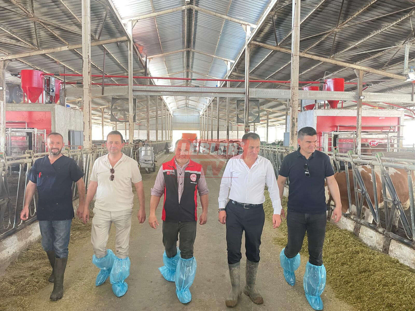 517403687 122196962864108366 945671106212551771 N-1