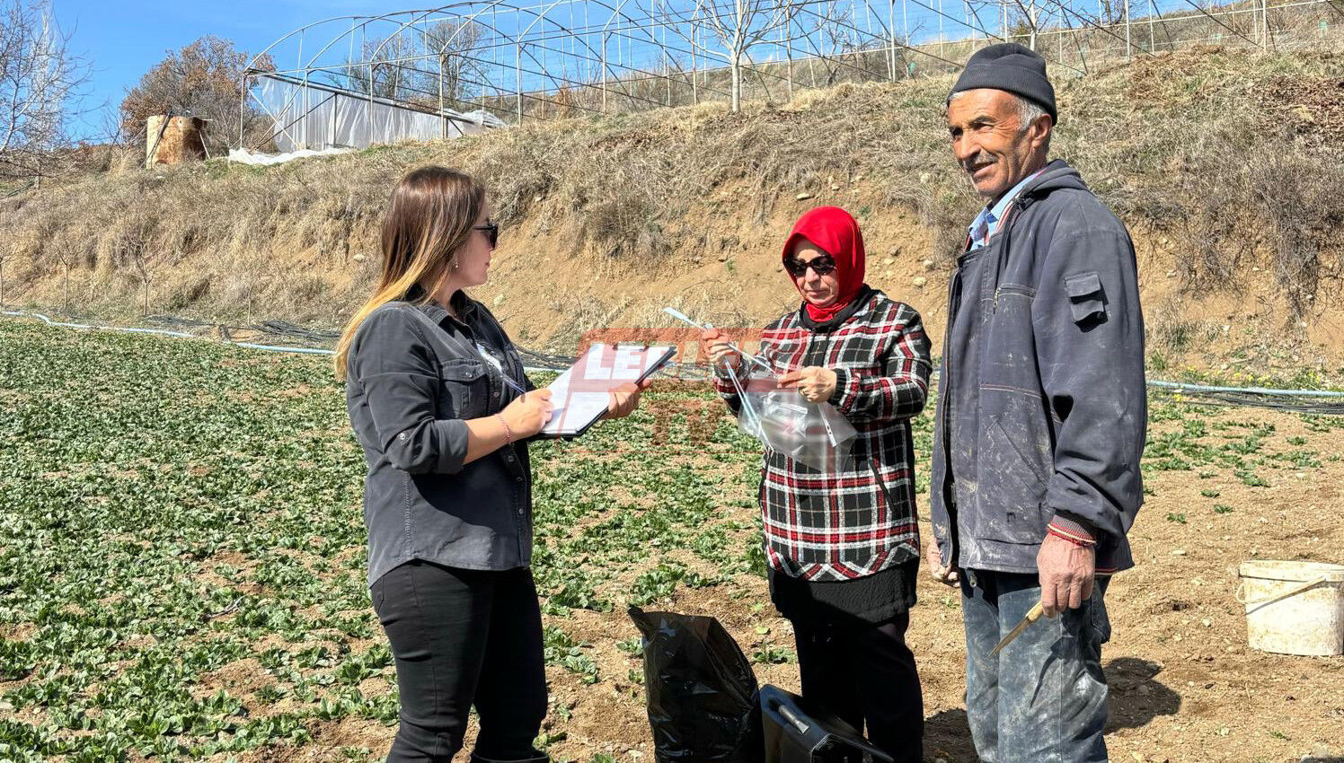 517460593 122197371440108366 4095202497993619364 N