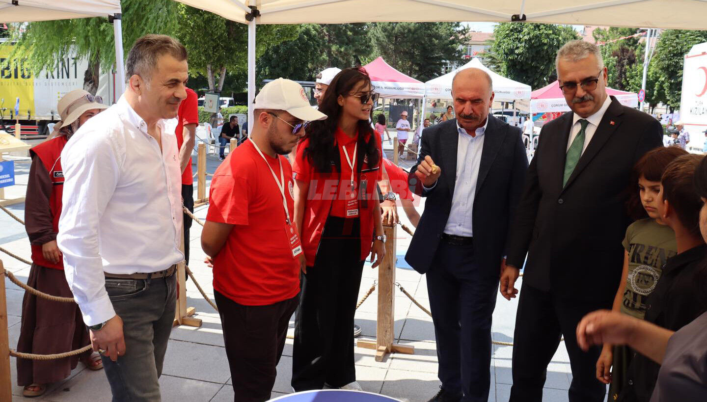 518320019 1166576508839650 7741370149259231753 N