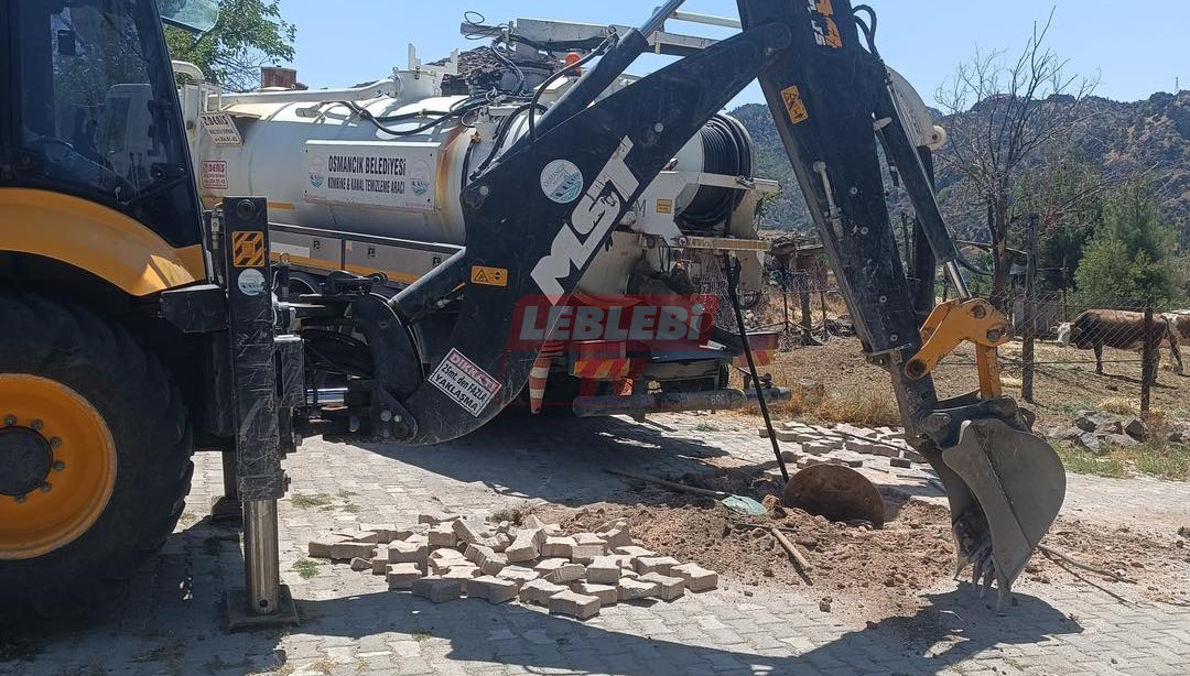 518385936 1629690612520630 734199166537690302 N