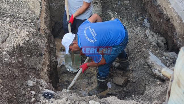 518398137 1629690539187304 2382953168145288558 N