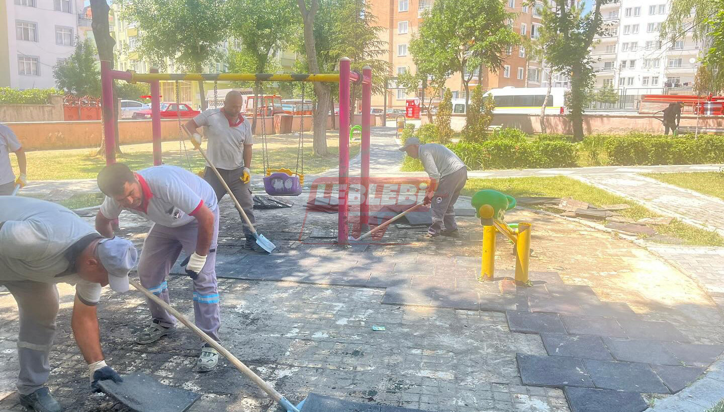 519697417 17908075179193980 2666915311821043908 N