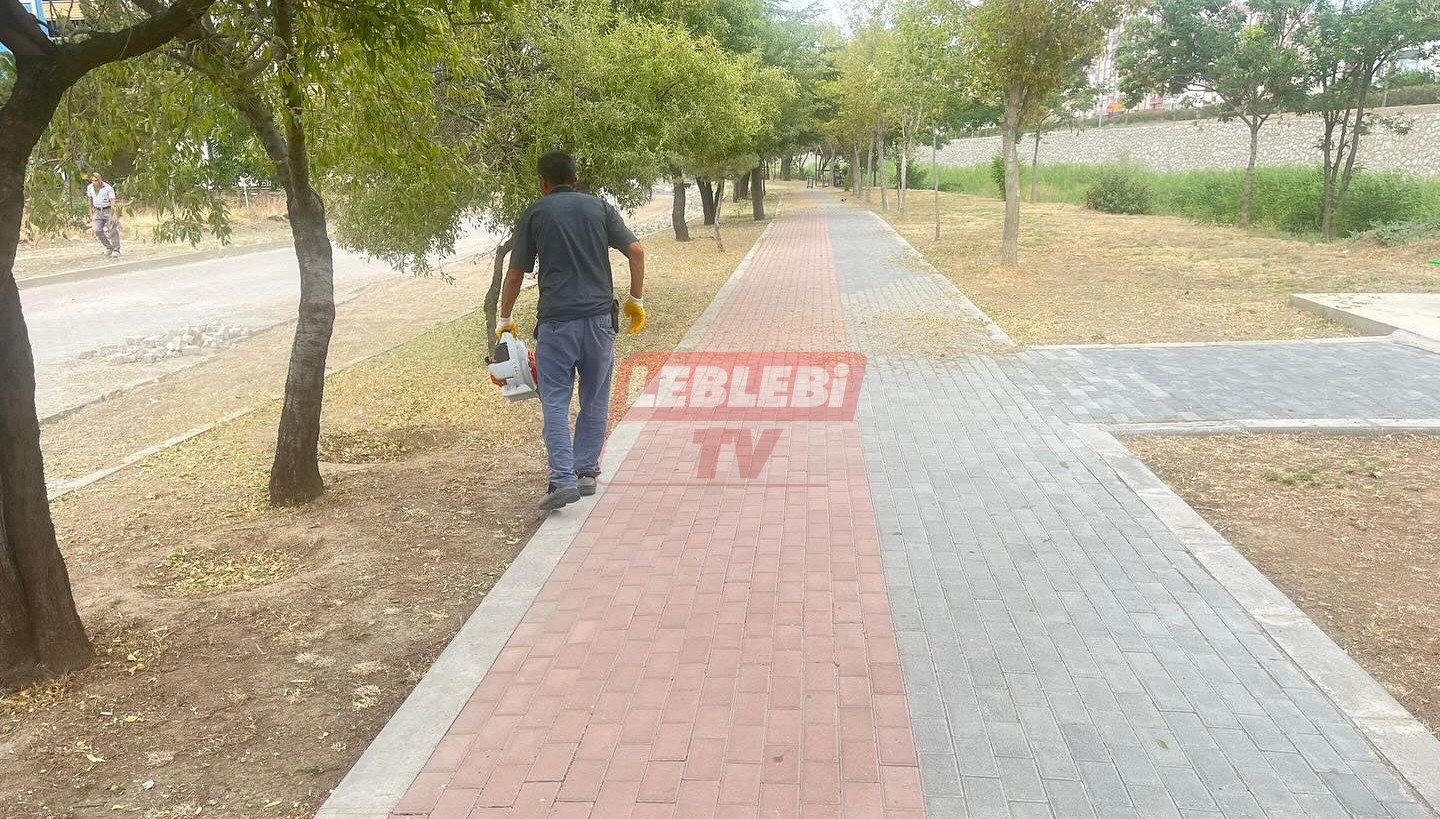 519941650 17908075146193980 5011732030533224040 N