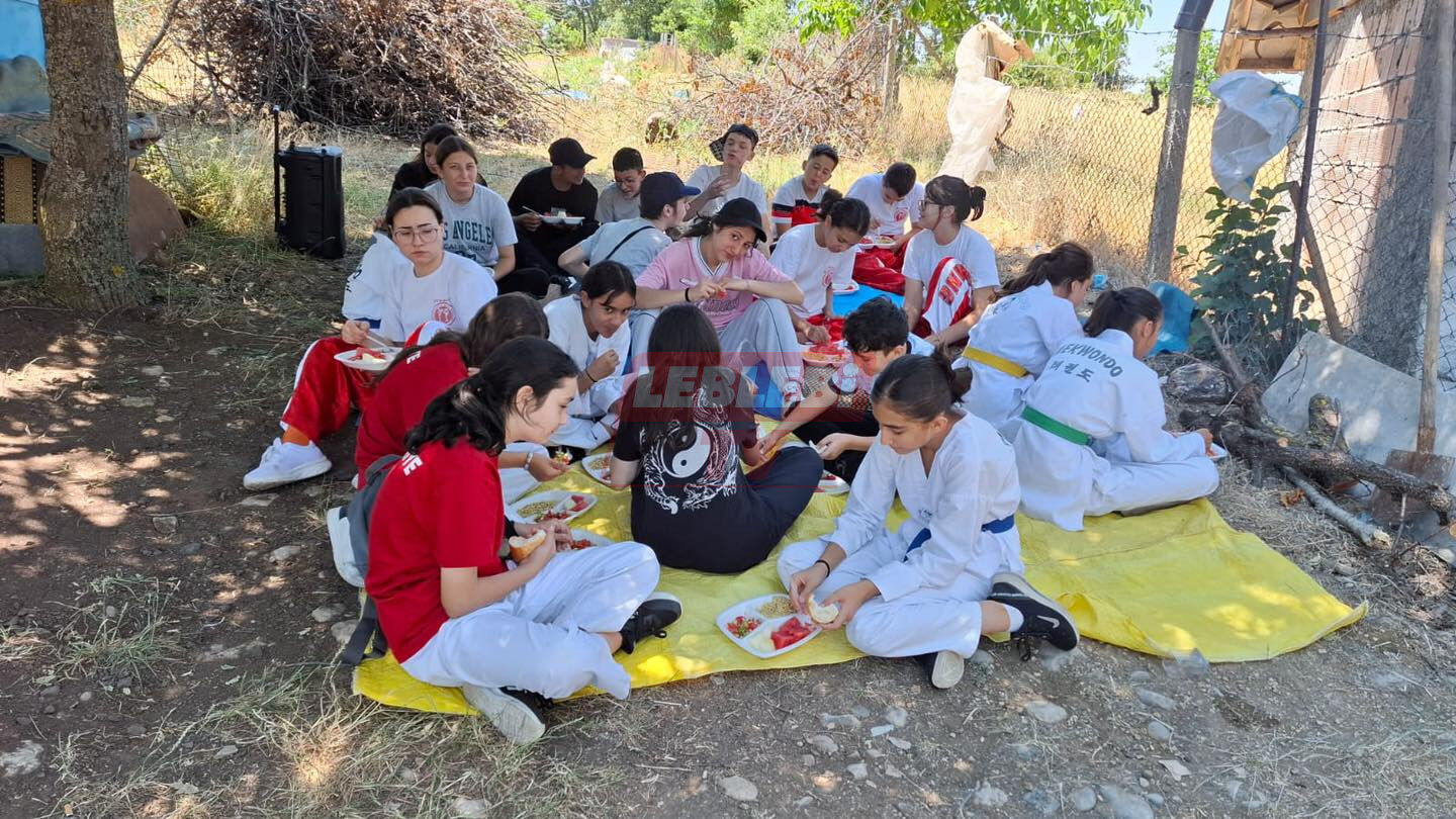 520279047 1168297332000901 4173645210996398556 N