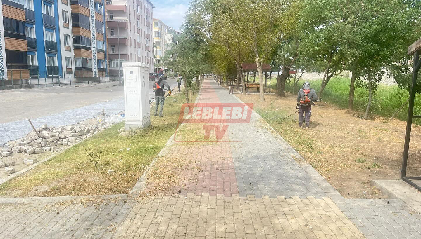 521207093 17908075137193980 6815011667182033109 N