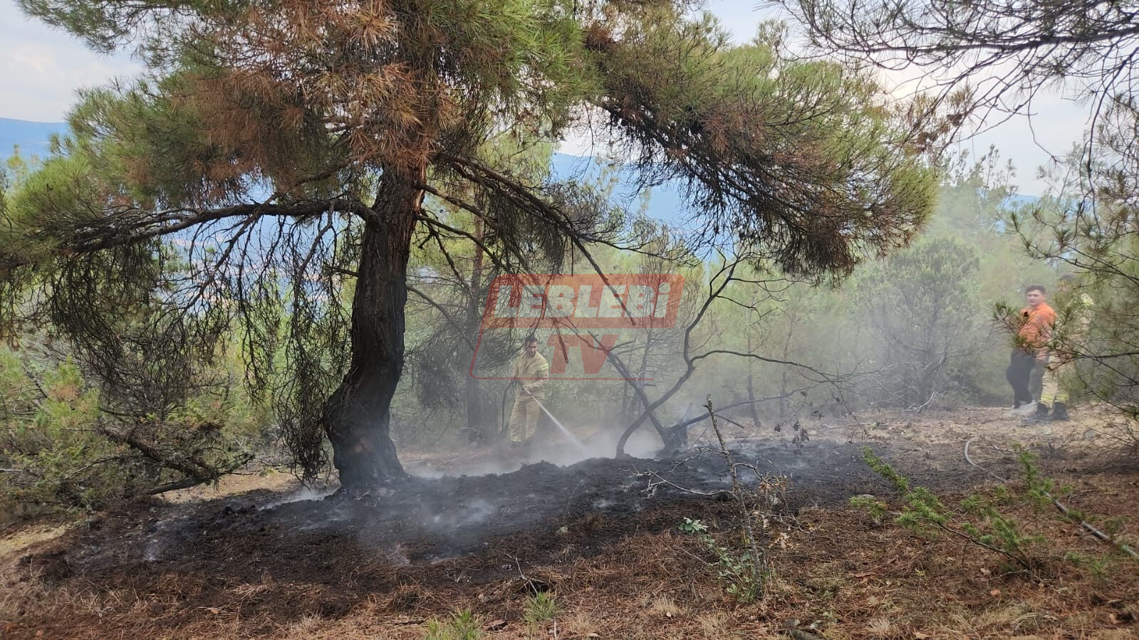 A A 20250718 38598170 38598169 C O R U M D A Y I L D I R I M D U S M E S I N E D E N I Y L E O R M A N L I K A L A N D A C I K A N I K I Y A N G I N S O N D U R U L D U