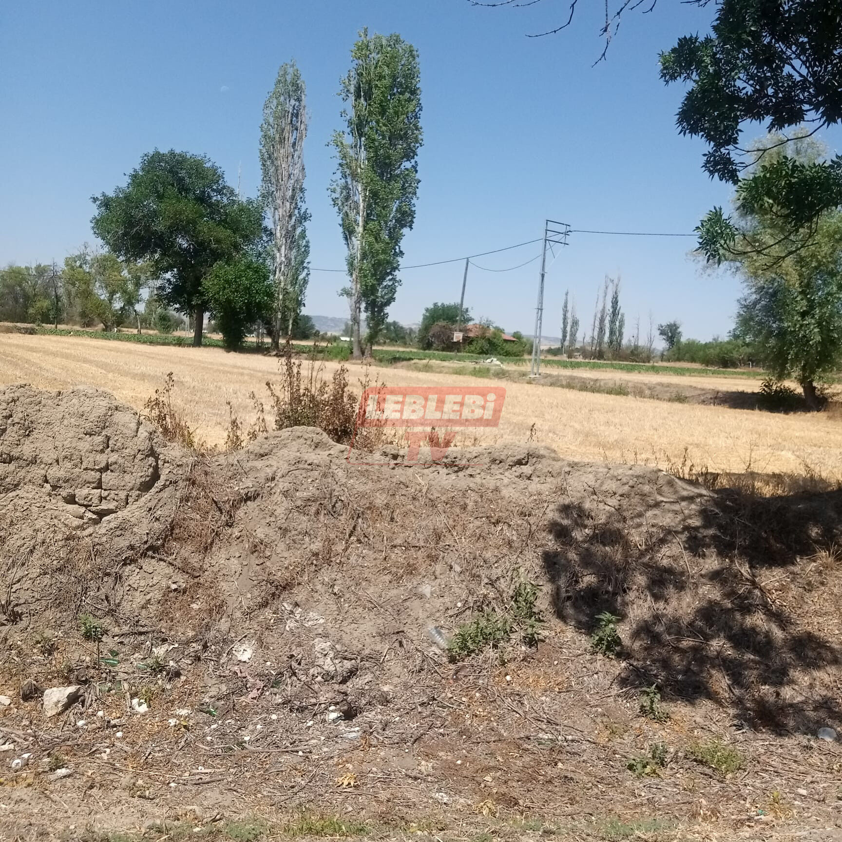 Whatsapp Image 2025 07 17 At 11.16.57