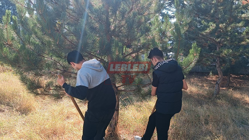 550137624 122144114564706748 4637673960886035520 N