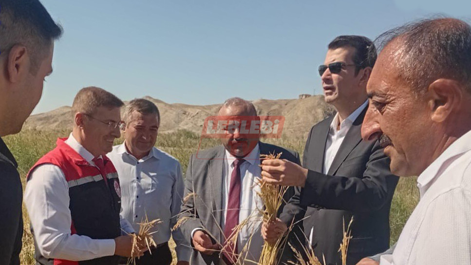 550864536 122205621932108366 5063325344487653345 N