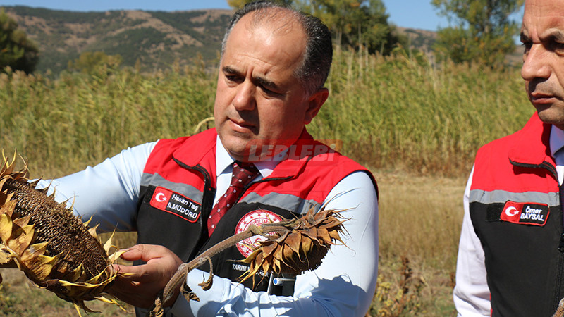 552942968 122205595706108366 2806673805536680378 N