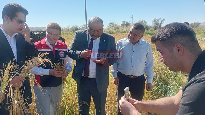 555042311 122205621974108366 428298349175983544 N