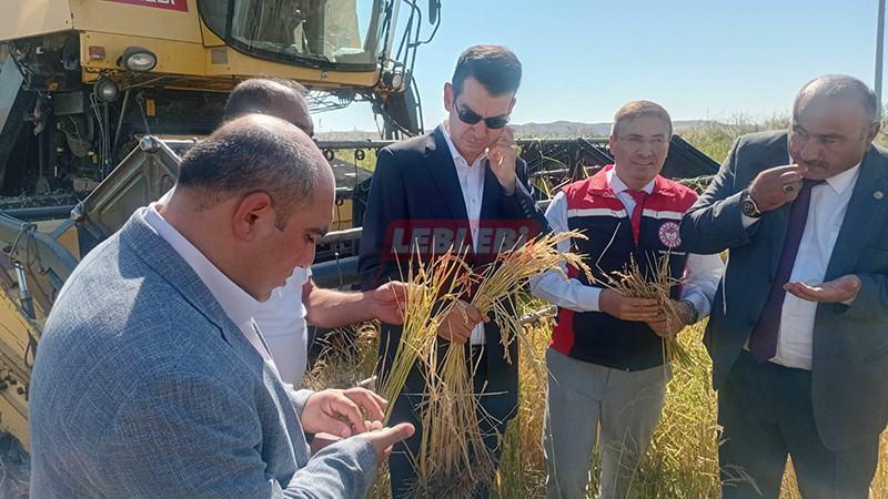 555045997 122205622034108366 4089116772801438628 N