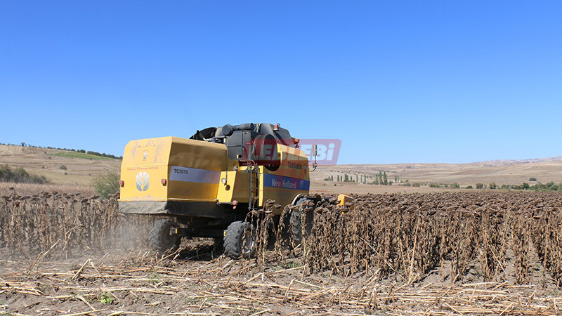 555461853 122205595928108366 4400845764896886554 N