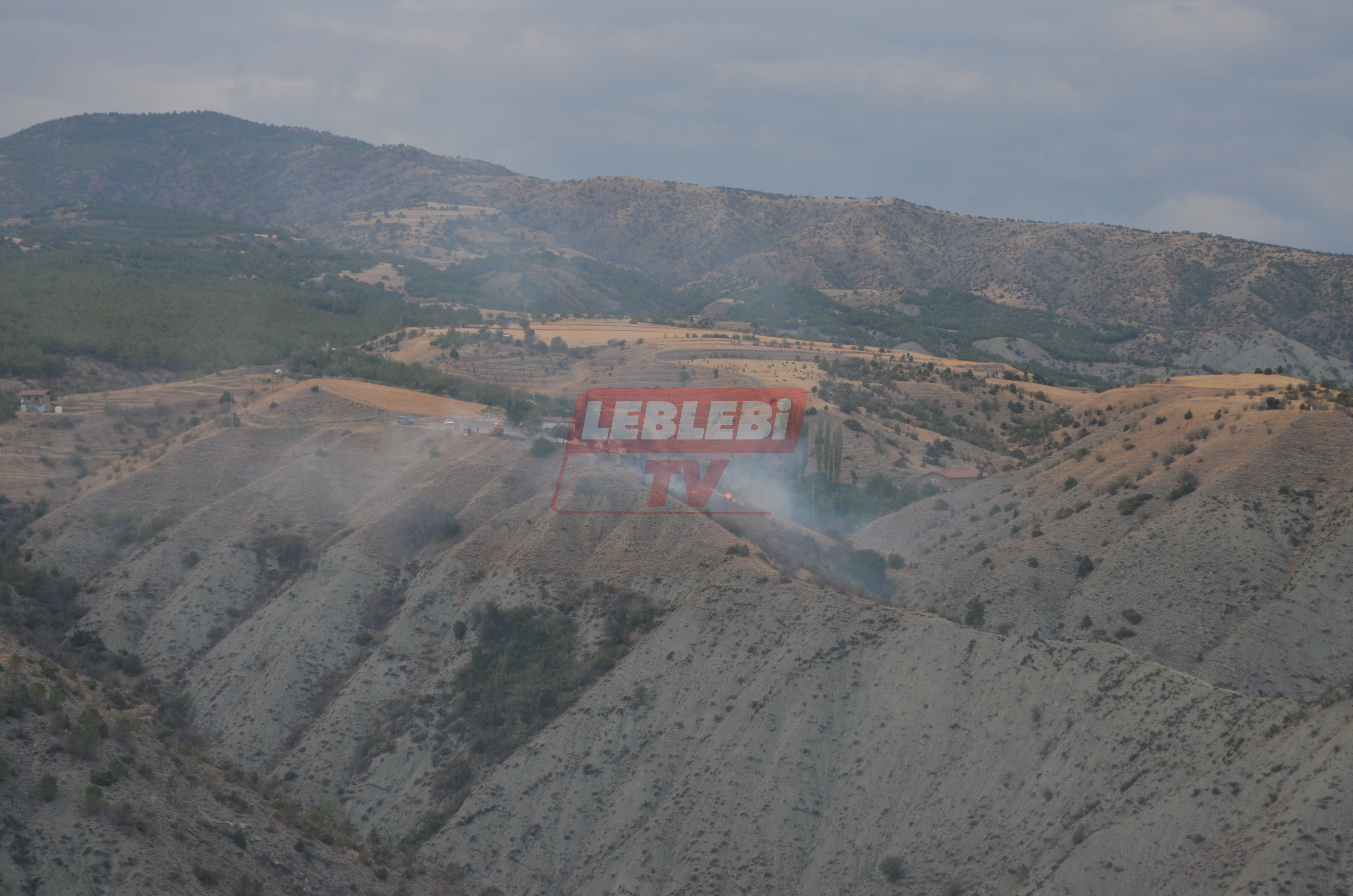 A A 20250903 39010459 39010454 C O R U M D A C I K A N Y A N G I N D A 10 D E K A R A L A N Z A R A R G O R D U