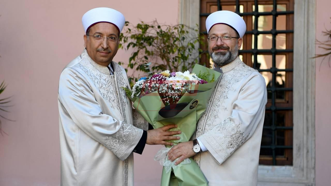 Safi Arpagus Aa 1681222