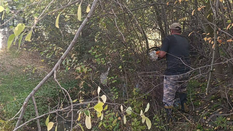 571180673 1288893209708947 8910300304914426606 N