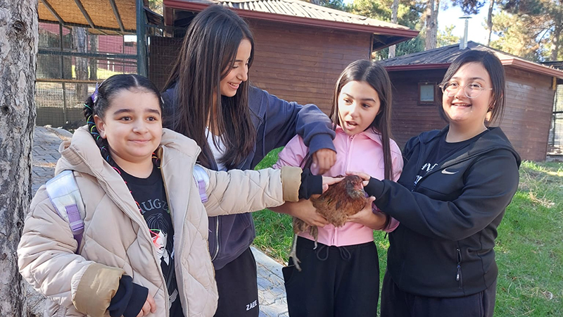 571363112 122148287708706748 6016336250894416901 N